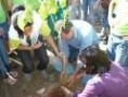 /album/galeria-de-fotos-pagina-inicial/dispertar-jpg1/